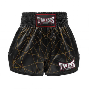 Shorts de Muay Thai à bas prix, sur mesure, de qualité supérieure, derniers modèles Twins, logo et design personnalisés, short de combat de kickboxing - Product Image 1