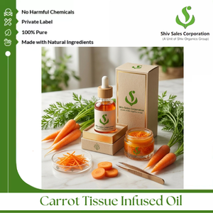 Export Quality Carrot Tissue Infused Oil for <b>Personal</b> Care Products, Cosmetic Industry Manufacturing and Beauty Formulation - Product Image 2