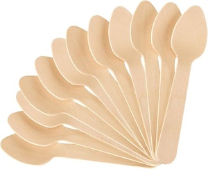 High Quality Birchwood Dessert Spoon 155mm Disposable Cutlery for Ice Cream Yogurt & Pudding Cups Premium Food Presentation 2026 - Product Image 1