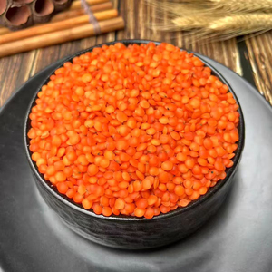 Lentilles Rouges de Qualité Supérieure en Gros, Grade Alimentaire, Stock Prêt, Service OEM, Exportation - Product Image 5