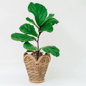 Macetas decorativas de mimbre para el hogar, macetas de bambú para interior, diseño único para decoración del hogar, venta al por mayor - Product Image 1