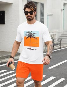 Conjunto de Camiseta y Pantalones Cortos Hawaianos para Hombre, Estilo Aloha Tropical, Dos Piezas, Casual, para Playa y Uso Diario - Product Image 2