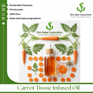 Export Quality Carrot Tissue Infused Oil for <b>Personal</b> Care Products, Cosmetic Industry Manufacturing and Beauty Formulation - Product Image 3