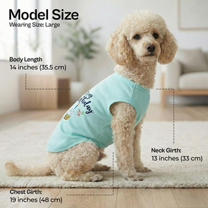 Camiseta para Mascotas Hecha en Fábrica, Venta al por Mayor, Ropa para Perros de Color Sólido, Ropa para Gatos de Algodón Premium, Ropa Ligera y Flexible para Cachorros - Product Image 5