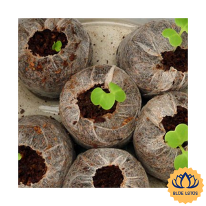 [VENTA EXITOSA] |   Pellets de fibra de coco biodegradables para germinación de semillas, para propagación comercial de plantas, exportación a granel desde Vietnam - Product Image 1