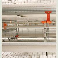 Cages à batterie automatiques de type H pour poules pondeuses, état neuf, avec système de convoyeur de collecte des œufs