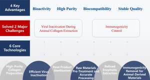 Trauer Стерильная бычья губка коллагена типа I MS для гемостаза и заживления ран продается в течение 15 лет - Product Image 6