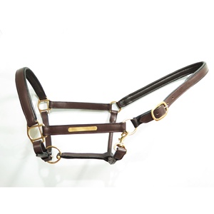 Vente en gros de licou rembourré en cuir véritable de qualité supérieure avec accessoire de point fantaisie - Product Image 4