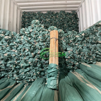 Sikat Lantai Kayu Alami Vietnam Tahan Air, Gagang Kayu, Ramah Lingkungan, Desain Ringan untuk Perabotan