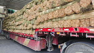 Matières premières artisanales en jonc de mer 100% naturel de marque HNIECO, fabriquées au Vietnam, 25/50kg, 1kg/brin, meilleur prix, OEM, agricole - Product Image 4