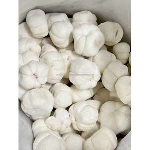 Mangoustan entier congelé IQF, fruits blancs pour la transformation alimentaire - Product Image 1
