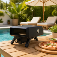 Four à pizza au gaz propane de 12 pouces O-12G-A pour jardin, pique-nique, barbecue, vente en gros