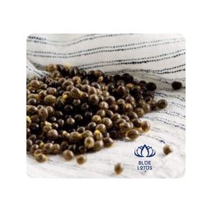 Graines de papaye séchées de qualité supérieure, traitement propre et soigné, idéales pour la cuisine et l'assaisonnement, améliore le goût et apporte des nutriments supplémentaires - Product Image 1