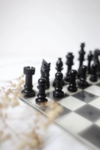 ILAHI's Eco-Friendly Rustic Polished Rectangle <b>Chess</b> <b>Board</b> Game 100% Handmade Pure Wood Animal/Love Style Customized Size <b>Chess</b> - Product Image 2