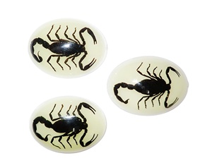 Escorpión Negro, Espécimen Real, Cabujón de Plástico Ovalado de 30x40 mm, Base Plana Brillante para Manualidades y Joyería - Product Image 1