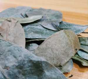 ทุเรียนเทศแห้งที่มีสารอาหารสูงชาอบแห้งจากธรรมชาติสำหรับการสนับสนุนการค้าส่งออกจำนวนมาก - Product Image 2