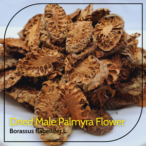 Tranches de fleurs de palmier Toddy séchées de haute qualité, tranches de spathes de palmier Palmyra (Borassus Flabellifer) de qualité supérieure, en vrac pour OEM - Product Image 6