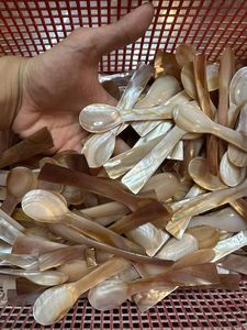 Pearl <b>Shell</b> Spoon Handmade Mother of Pearl Spoon Eco Friendly Seafood Spoon Natural <b>Shell</b> Spoon for Kitchen Tableware Use - Product Image 6