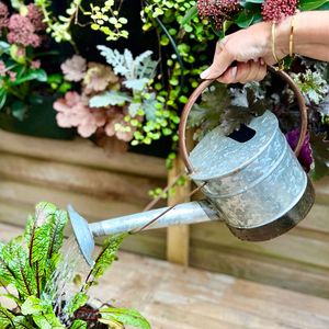 Arrosoir de jardin élégant en métal pour plantes d'intérieur, pot décoratif pour l'arrosage avec long bec - Product Image 6