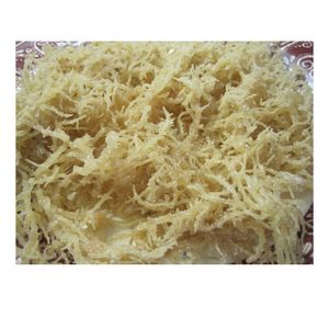สาหร่ายทะเลเวียดนามออร์แกนิกแบบดิบ (Cottonii Sea Moss) สำหรับการผลิตอาหารและการส่งออกจำนวนมาก - Product Image 1