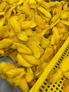 มะม่วงอบแห้ง แอดวีทีวี วอเตอร์ โปรเซส แพ็คสูญญากาศ บรรจุภัณฑ์ของขวัญ รสหวาน เวียดนาม ขายส่งจำนวนมาก 99 โกลด์ ดาต้า - Product Image 6