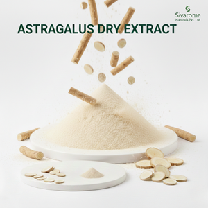 Polvo Herbal de Astrágalo Procesado con Cuidado para Fabricantes que Priorizan la Estabilidad del Ingrediente y la Apariencia Limpia - Product Image 5