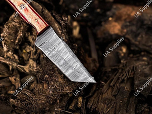 Cuchillo de Caza y Camping Damascus de Acero Hecho a Mano, OEM/ODM, Mejor Precio, Hoja Fija, Punta Caída, Personalizable, Madera Pakka - Product Image 4