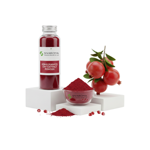 Poudre d'extrait pur de grenade pour compléments alimentaires, fabrication de produits de beauté et de bien-être, distribution en gros - Product Image 1