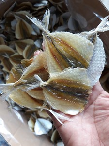 ปลาตากแห้งคุณภาพสูงลายเหลืองสำหรับส่งออก อาหารทะเลอบแห้งธรรมชาติจากเวียดนาม - Product Image 5