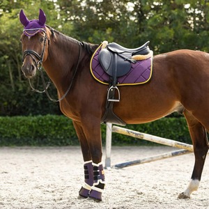 Derniers ensembles de tapis de selle en coton pour l'équitation, le dressage équestre, service OEM ODM, conception sur mesure - Product Image 3