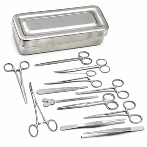 Kit de 13 instruments de chirurgie mineure avec boîte en acier inoxydable pour cliniques, outils personnalisés, fournisseur en gros - Product Image 1