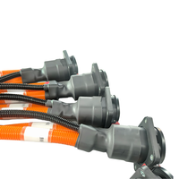 OEM/ODM Assemblage de câble EV à charge rapide de haute qualité Faisceau de câblage de port de charge de véhicule à nouvelle énergie