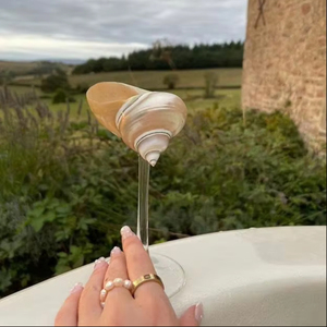 Copas de vino con forma de concha, regalo para el día de San Valentín, copas de vino con forma de concha, regalo para damas de honor de boda, regalo de cumpleaños, regalo decorativo - Product Image 1