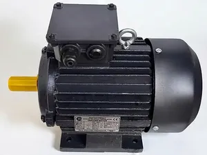 Moteur électrique industriel robuste à haute efficacité avec enroulement en cuivre, boîtier durable, 3HP, 4 pôles, triphasé AC - Product Image 3