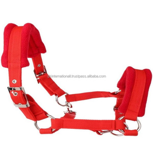 Equipement équestre pour chevaux licou en nylon rembourré en polaire avec boucle en acier inoxydable nickel et anneaux en épi intégral - Product Image 4