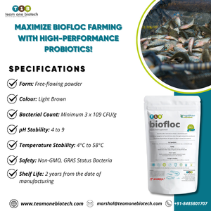 Probiotiques Biofloc pour l'élevage des poissons, favorisant l'équilibre hydrique en aquaculture - Product Image 3
