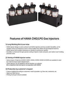 Chất lượng cao nhiên liệu khí cng/LPG loại đường sắt phun cho nhiệm vụ nặng nề xe tải H2200 lovato cng ECU <span class=keywords><strong>Denso</strong></span> kim phun sản xuất tại Hàn Quốc - Product Image 2