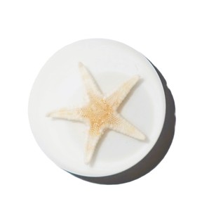Estrella de Mar, Espécimen Real, Cabujón de Plástico Redondo de 25x25 mm, Base Plana Blanca para Manualidades y Joyería - Product Image 6