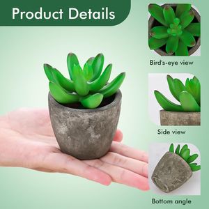 Set di 6 Piante Artificiali Realistiche, Piccole Succulente Finte con Vasi, Vegetazione Artificiale Realistica per Arredamento Casa - Product Image 3