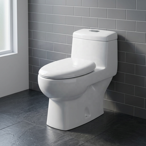 Modern Floor Mounted One Piece Siphonic <b>Ceramic</b> Toilet With Bidet For South American Residential Projects - Product Image 1