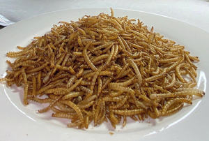 Top Grade <b>Dried</b> <b>Mealworm</b> and Yellow Puffing Insect Based Pet Food at Competitive Price - Product Image 2