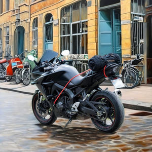 Juego de cuerdas elásticas multiusos para bicicleta (10 piezas) - Product Image 4