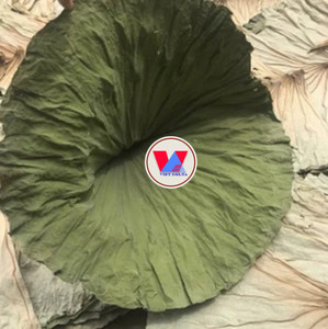 Hoja de loto seca para té: de loto fresco de alta calidad y buen precio - Product Image 5