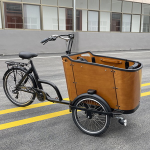 Bakfiet électrique à 3 roues vélo cargo à trois roues vélo cargo électrique adulte avec panier pour chien - Product Image 1