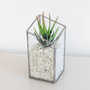Terrario de Vidrio Elegante con Marco de Metal Negro para Suculentas, Terrario de Vidrio Geométrico Moderno para Interiores - Product Image 4