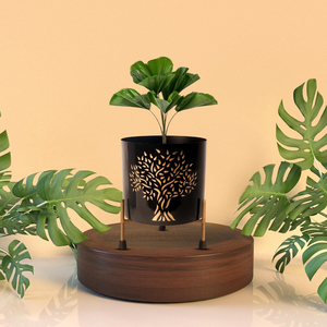 Maceta de Metal Negra con Soporte de Hierro, Maceta Elevada Contemporánea para Plantas de Interior, Suculentas y Decoración Elegante - Product Image 4