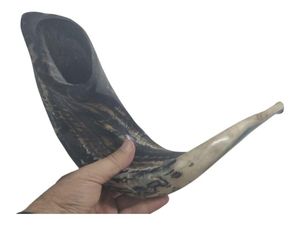Shofar Auténtico de Cuerno de Carnero, Cuerno de Oración Judío para Festividades, Shofar Tradicional Kosher de Cuerno de Carnero con Acabado Completo por Curio Craft - Product Image 4