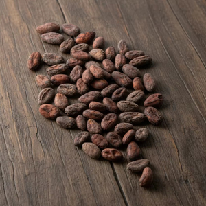 Fèves de cacao de qualité supérieure en gros, export en vrac, qualité premium, prêtes à être expédiées - Product Image 6
