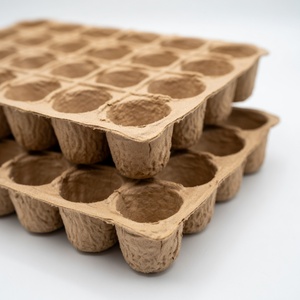 Fruit Packaging Eco-Friendly Anti Break Compostable Molded Pulp Tray Fresh Fruit Tray From Vietnam Manufacturer Paper <b>Boxes</b> - Product Image 4