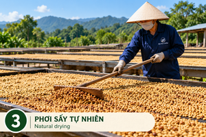 กาแฟโรบัสต้าเวียดนามคุณภาพสูง คั่วกลาง รสชาติเข้มข้น บดละเอียด บรรจุภัณฑ์แบบ OEM ODM เกรดพรีเมียม รสชาติโดดเด่น 18 - Product Image 2